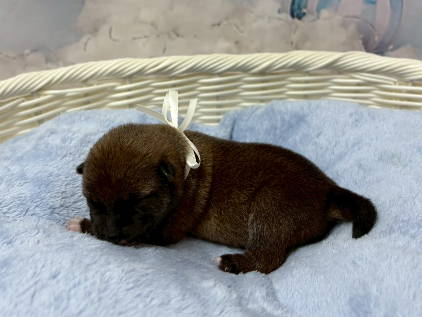 赤ちゃん写真1-2