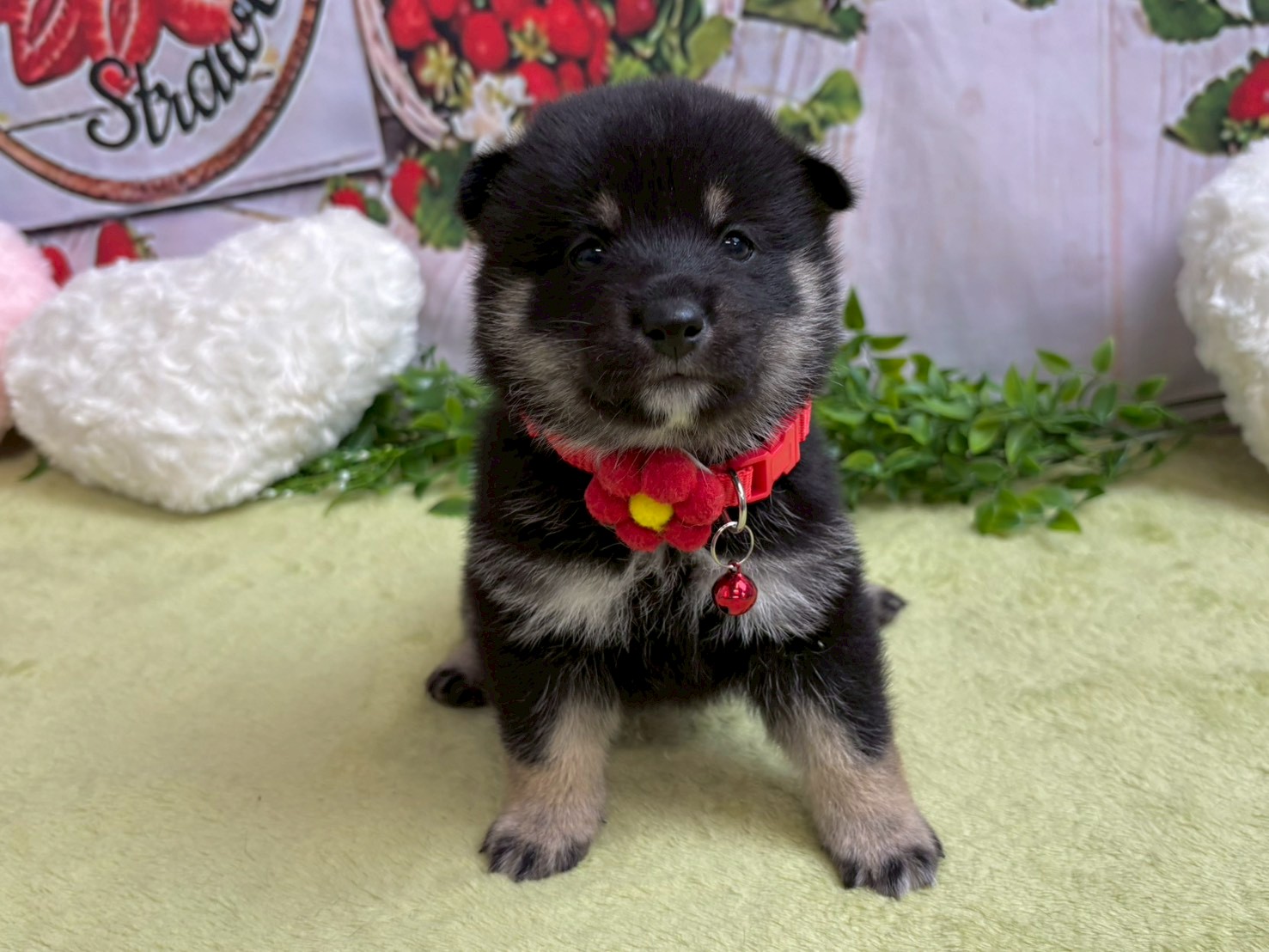 赤ちゃん写真2-1