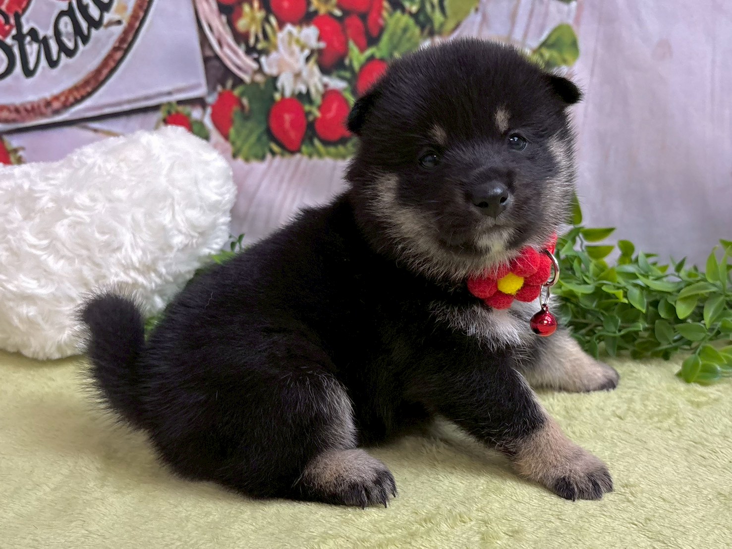 赤ちゃん写真2-2