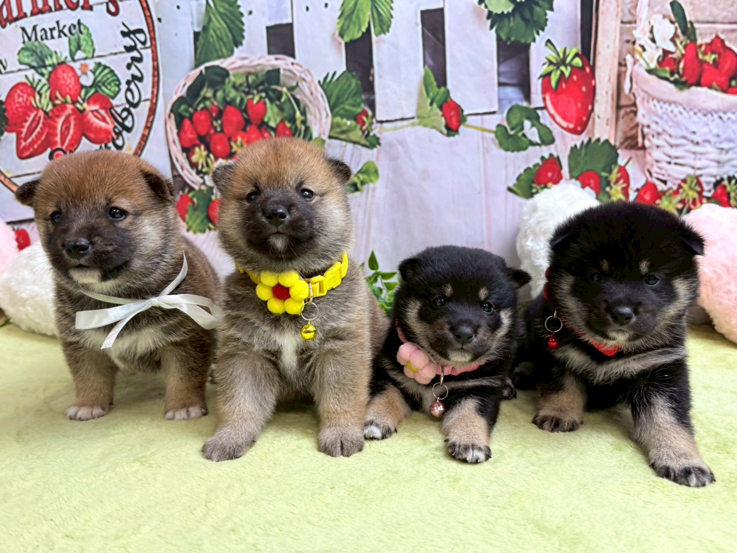 赤ちゃん写真2-3