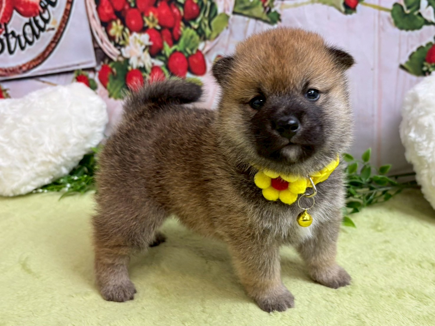 赤ちゃん写真2-2