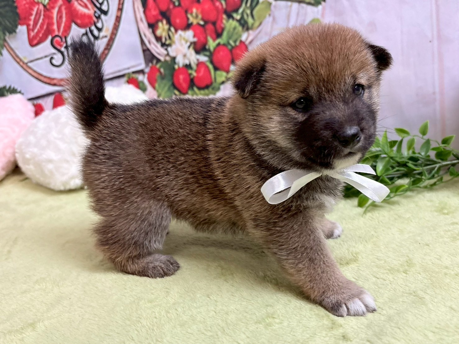 赤ちゃん写真2-2