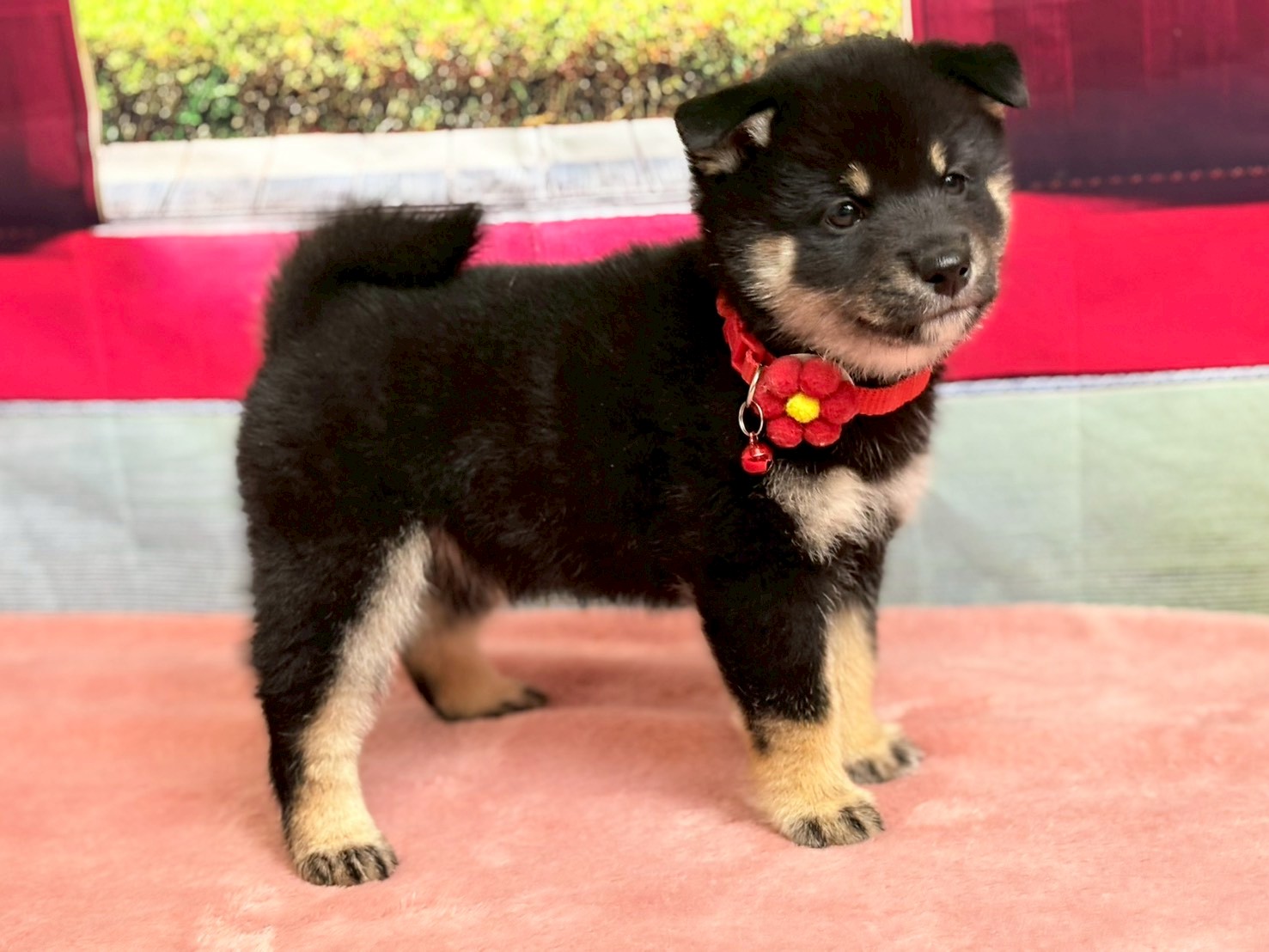 赤ちゃん写真3-2