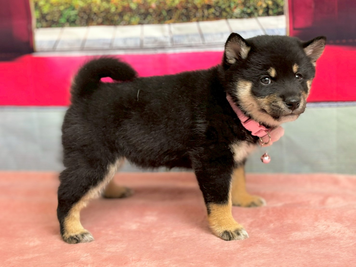 赤ちゃん写真3-2