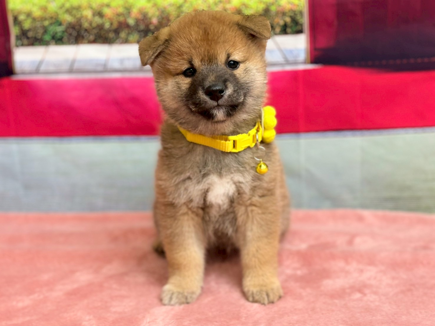 赤ちゃん写真3-1