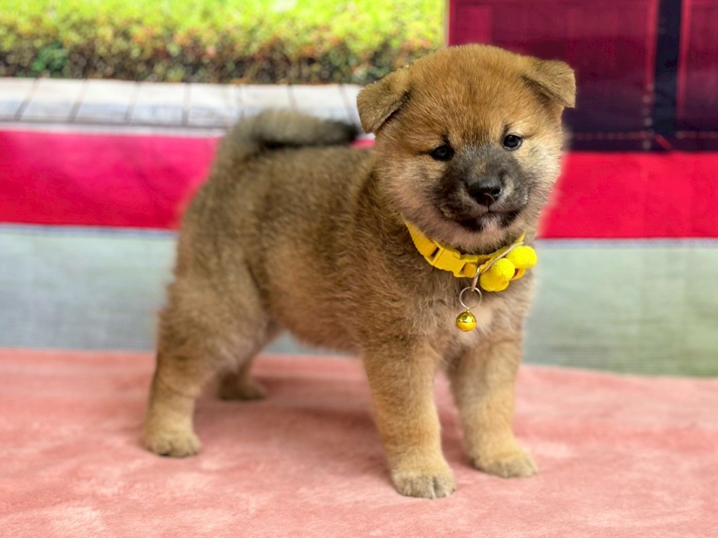 赤ちゃん写真3-2