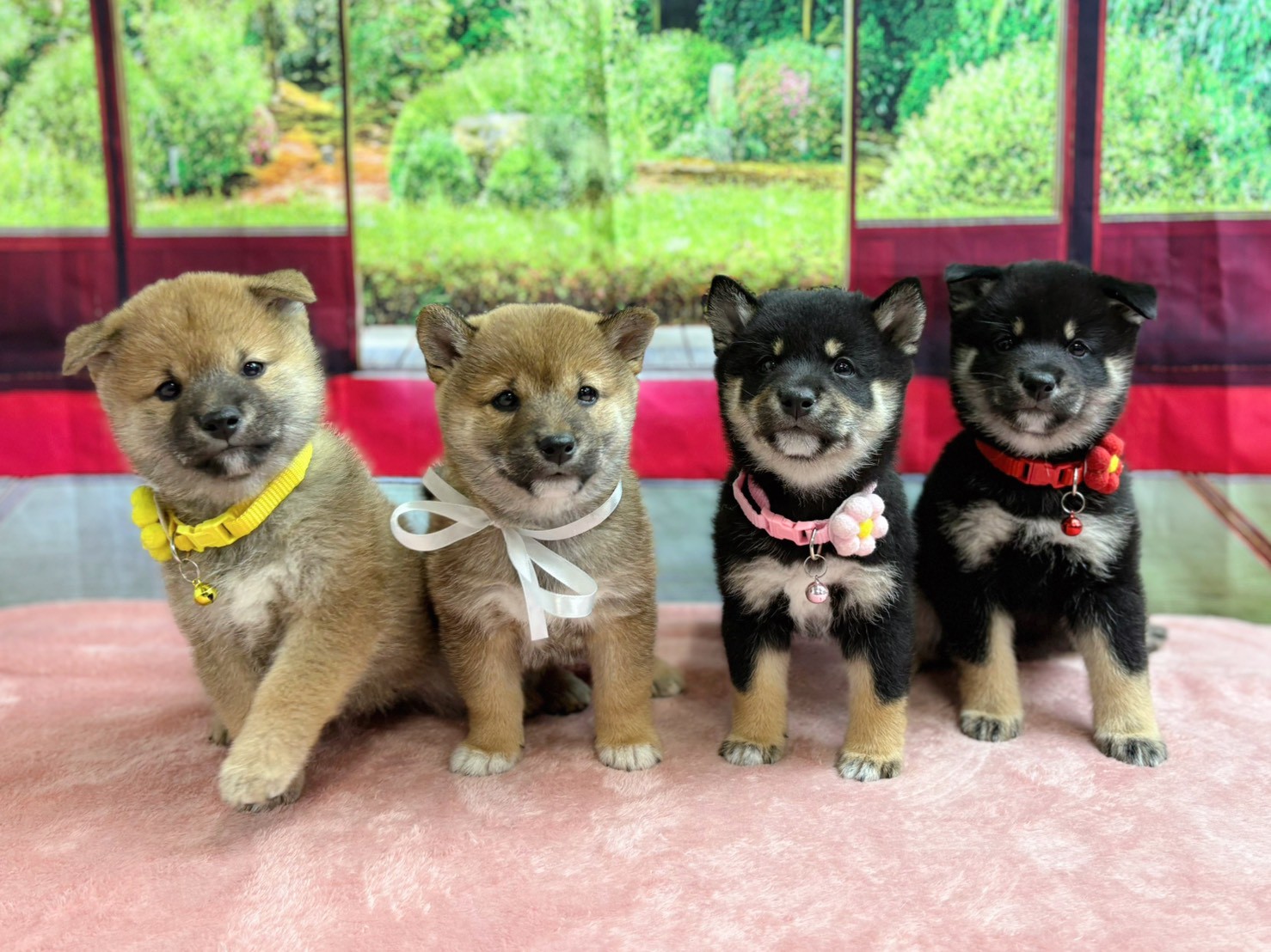 赤ちゃん写真3-3