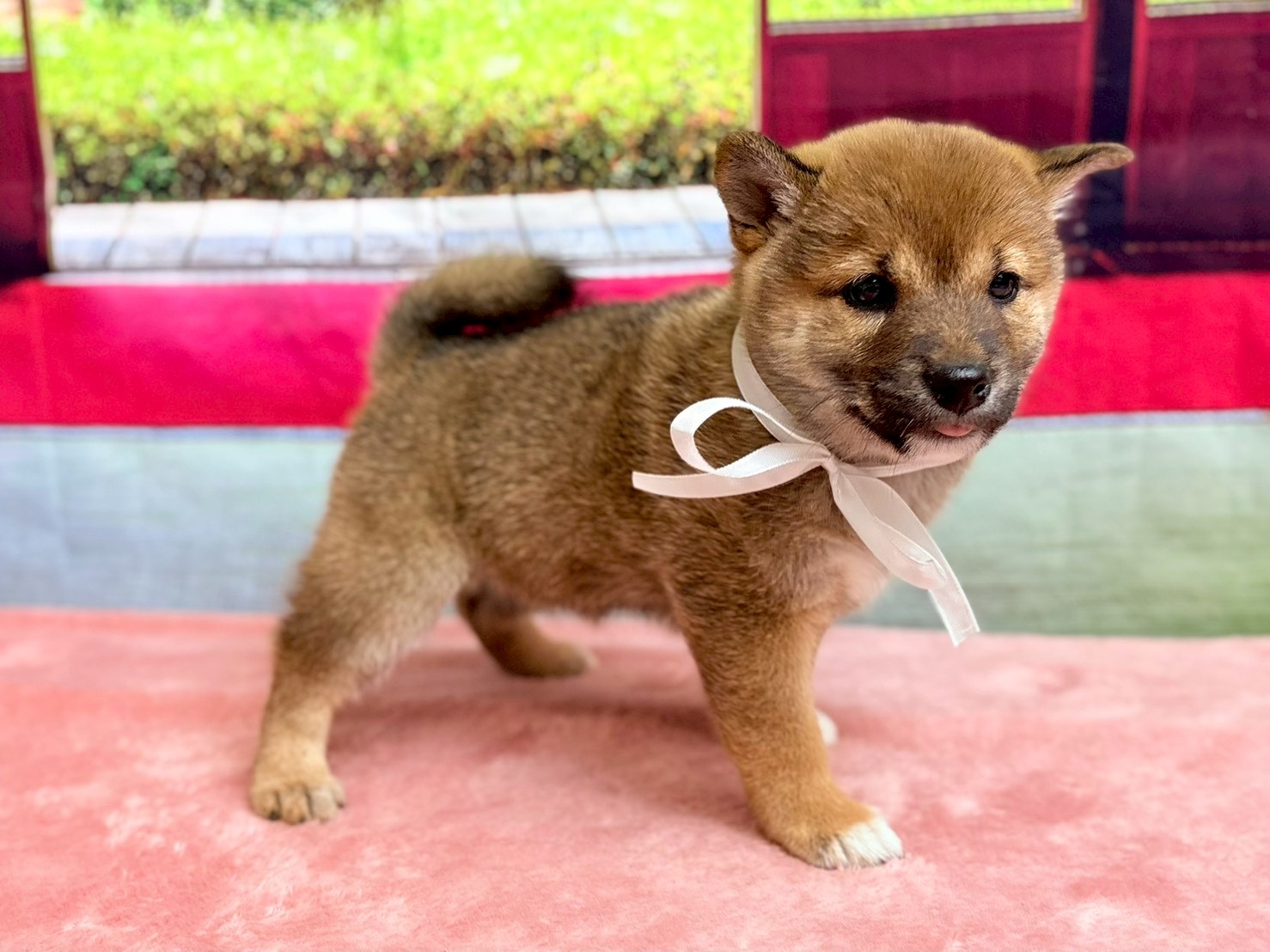 赤ちゃん写真3-2