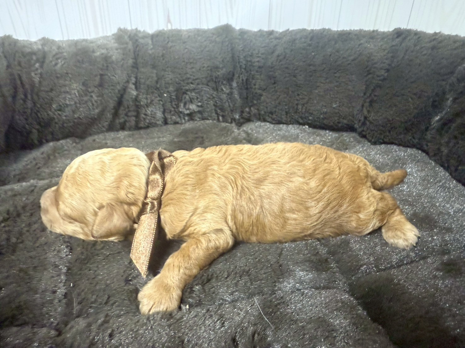 赤ちゃん写真1-2