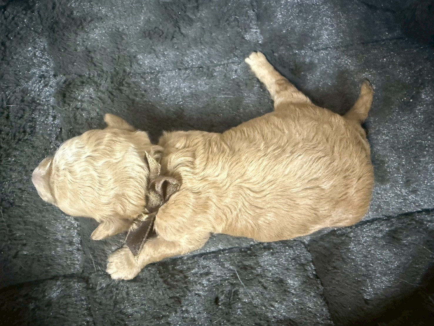 赤ちゃん写真1-3