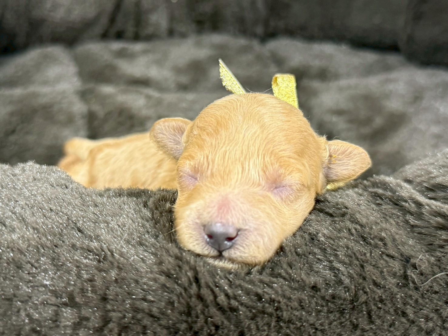 赤ちゃん写真1-1