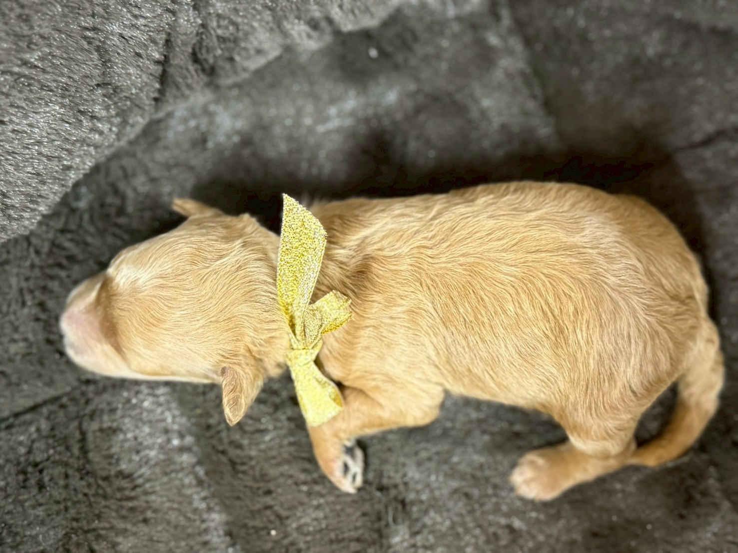 赤ちゃん写真1-3