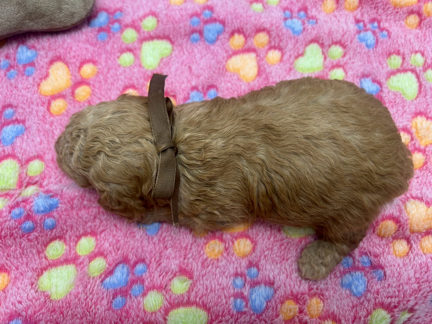 赤ちゃん写真2-3