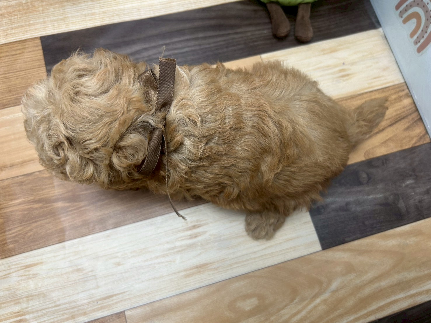 赤ちゃん写真3-3