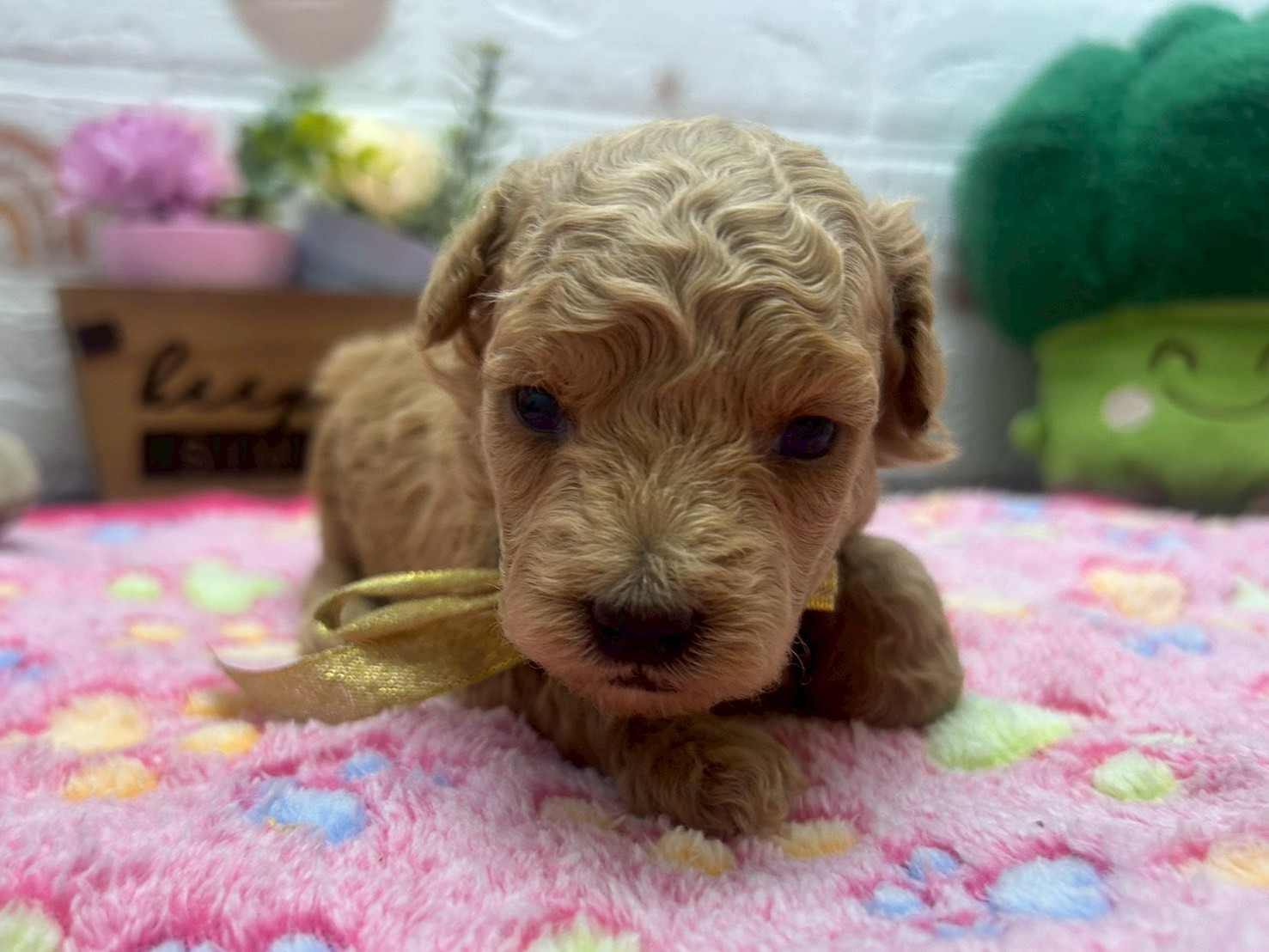 赤ちゃん写真2-1