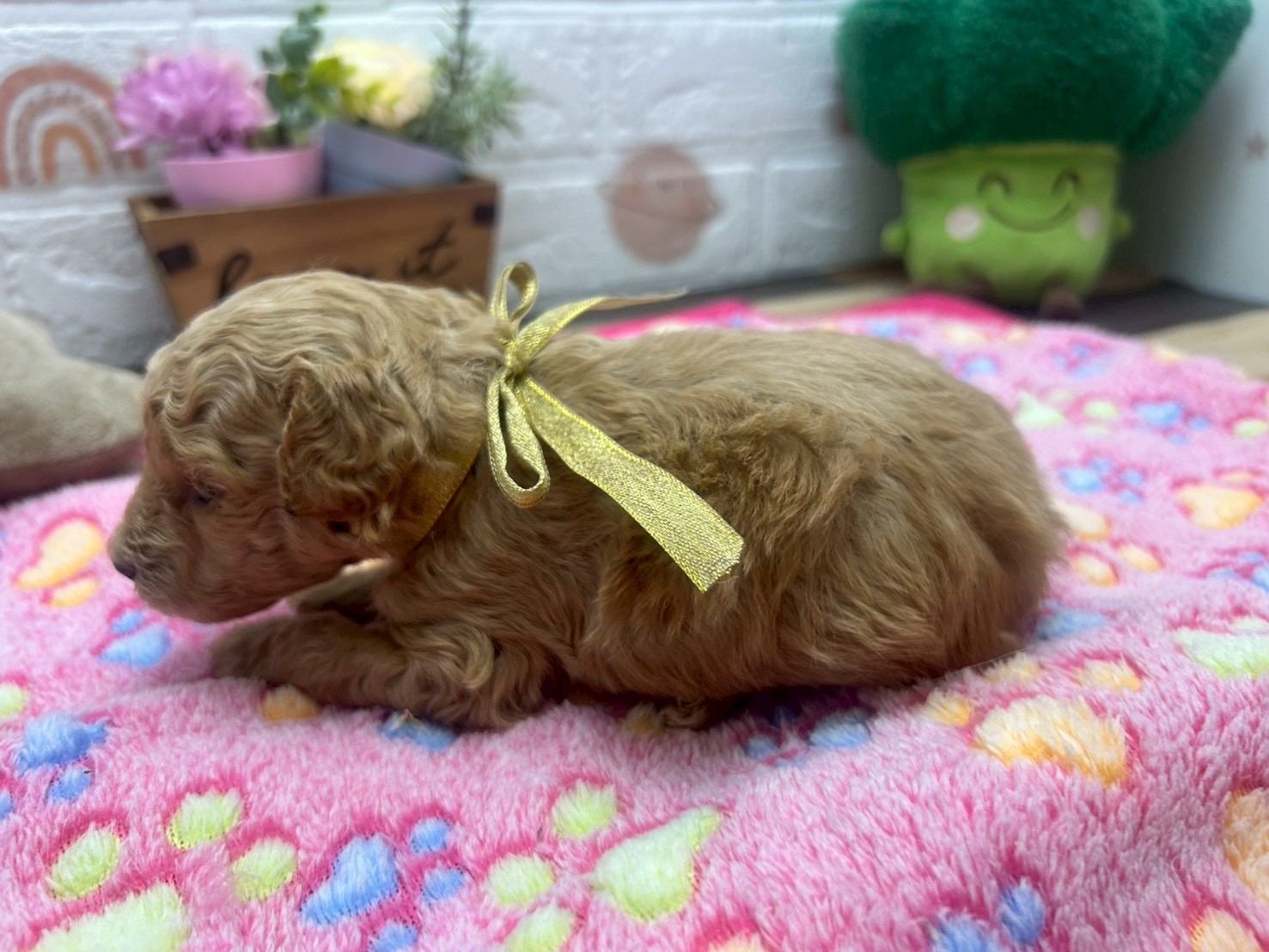 赤ちゃん写真2-2