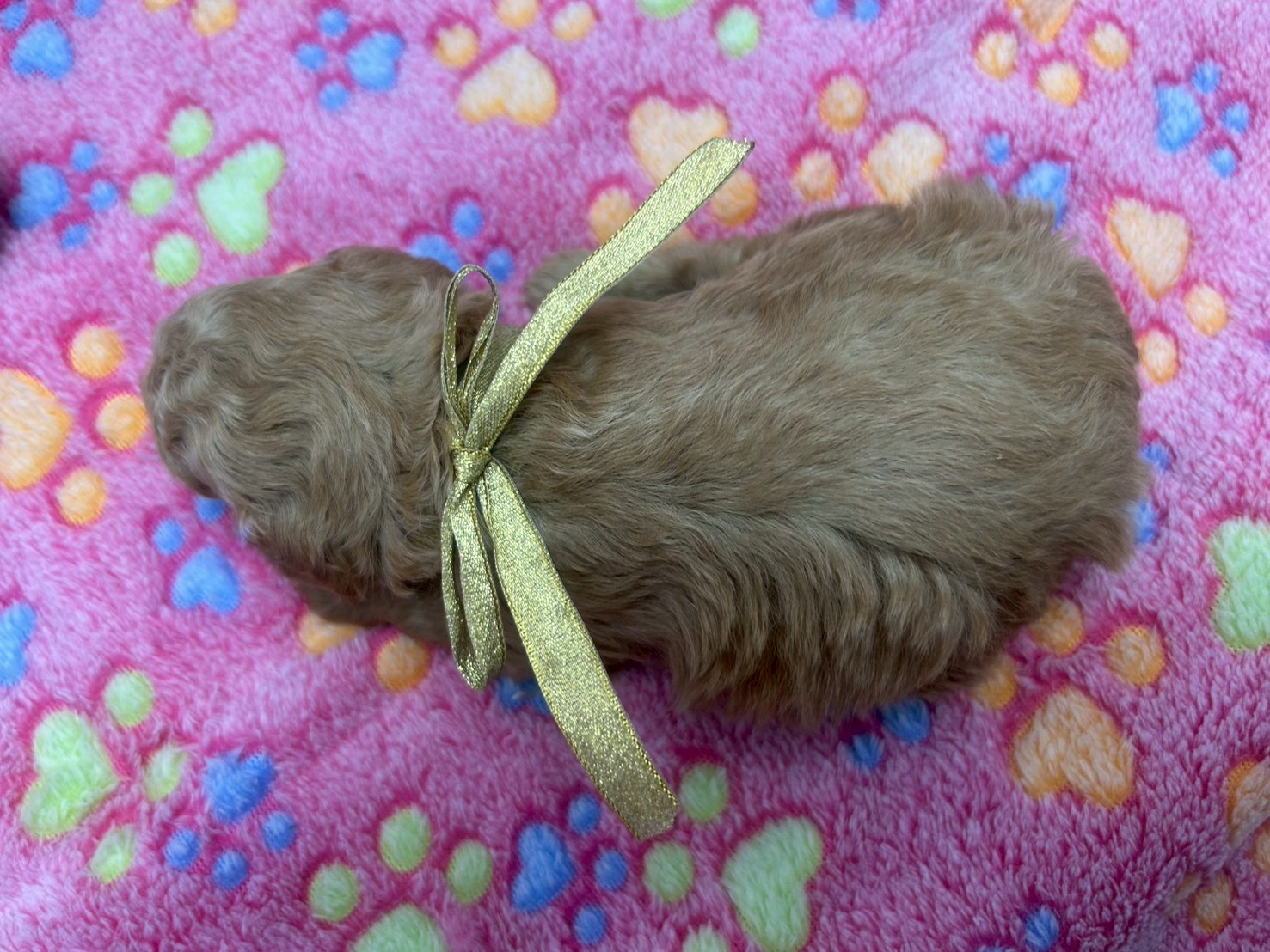 赤ちゃん写真2-3