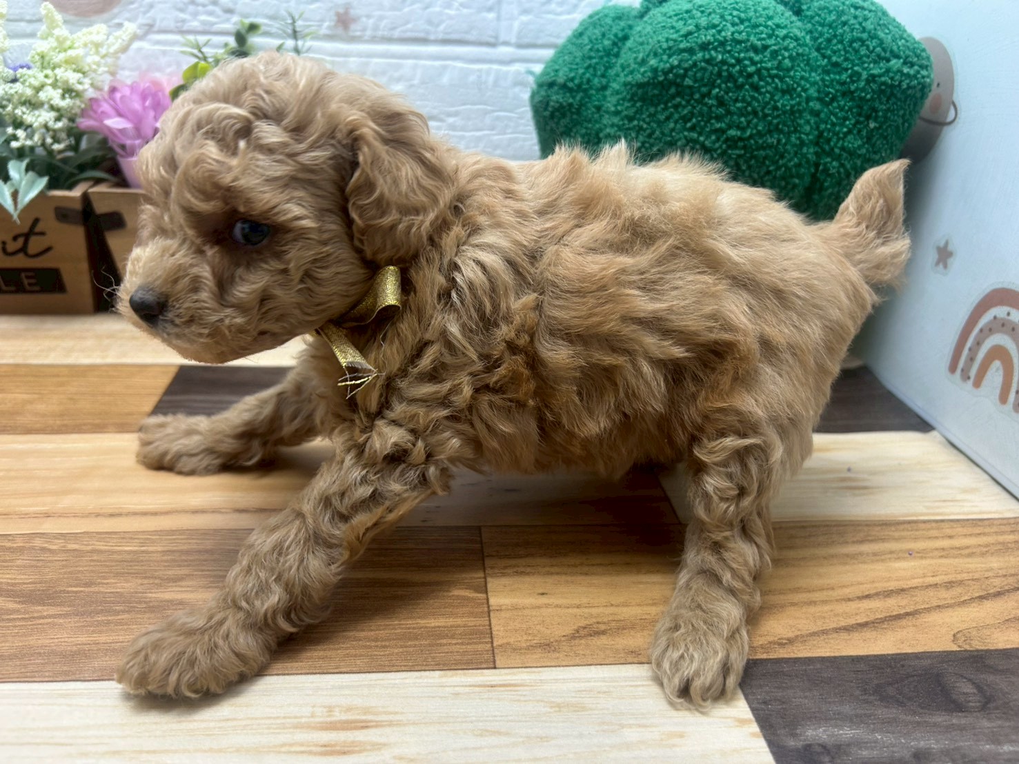 赤ちゃん写真3-2