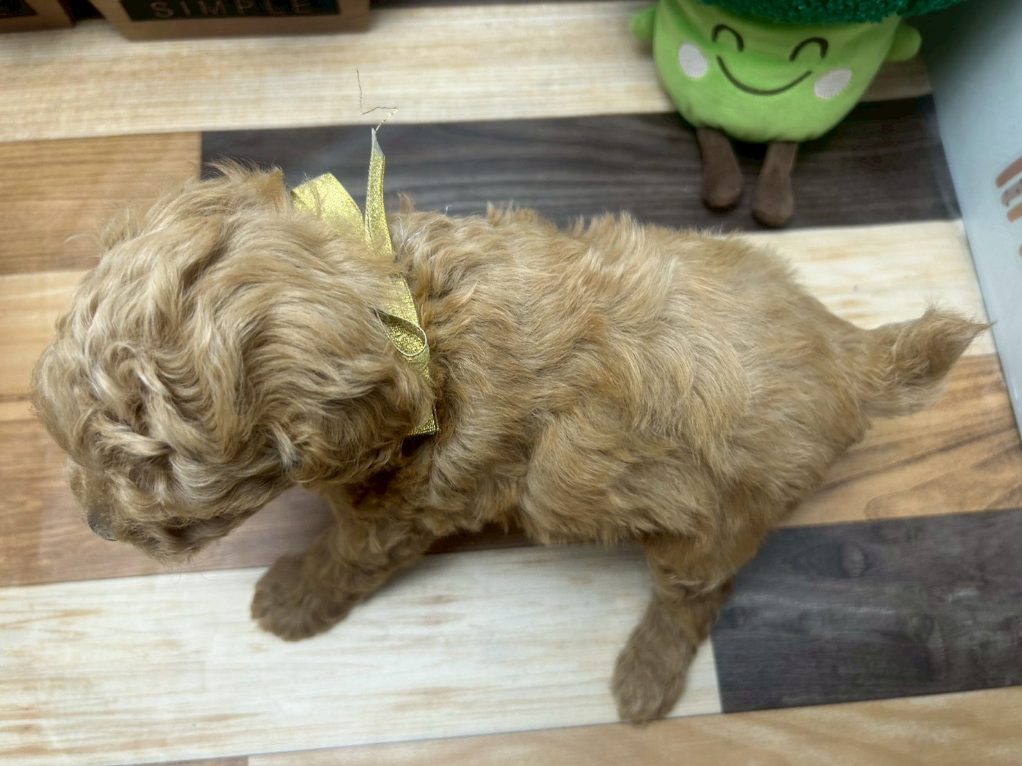 赤ちゃん写真3-3