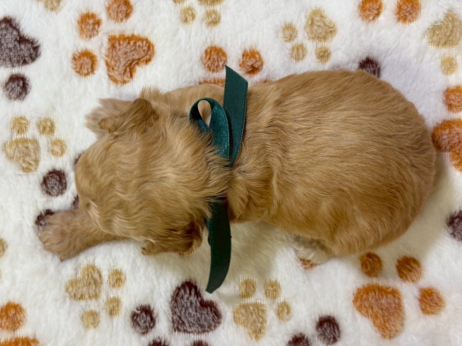 赤ちゃん写真2-2