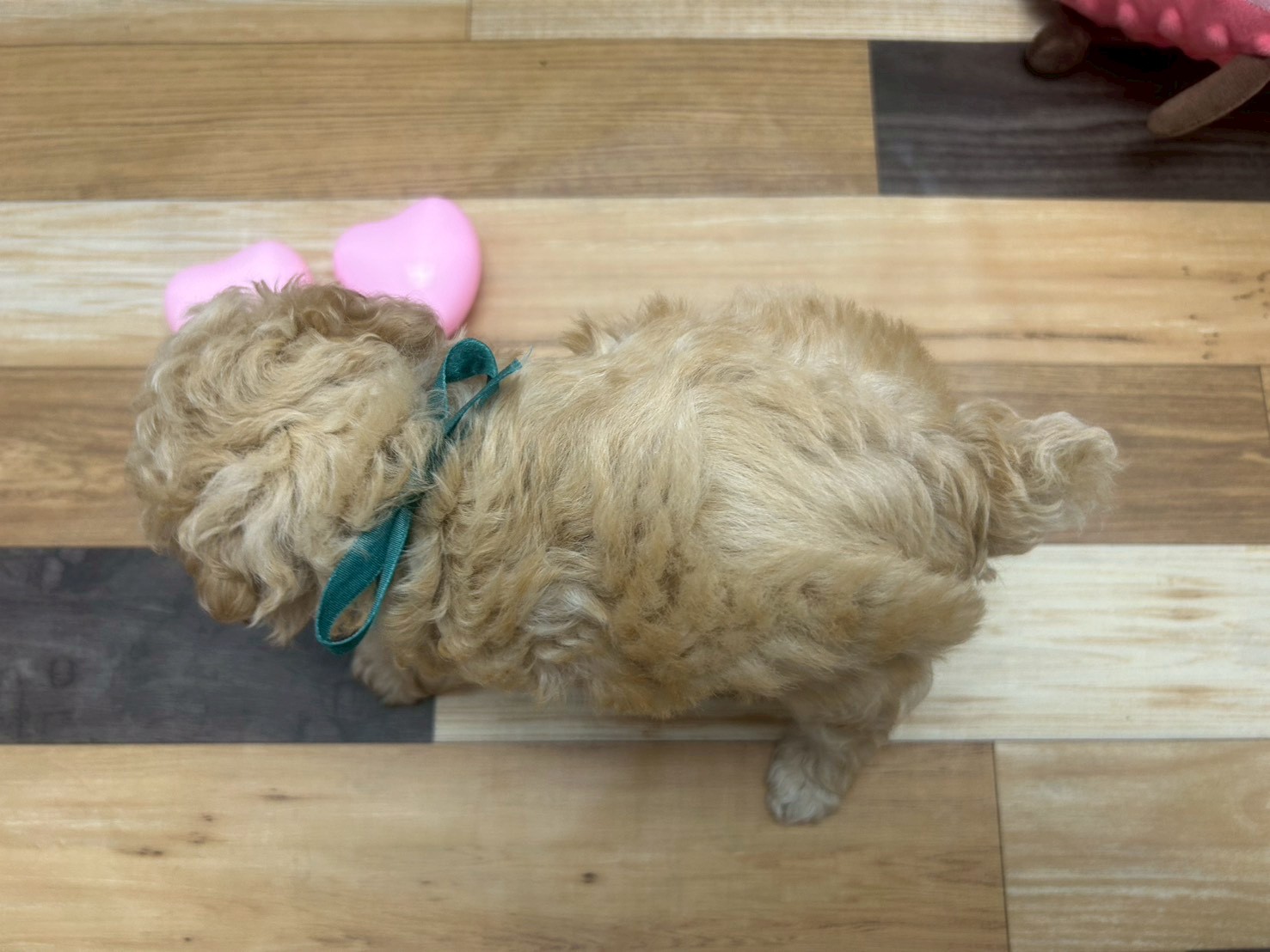 赤ちゃん写真3-3