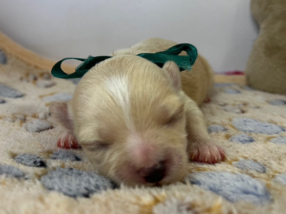 赤ちゃん写真1-1