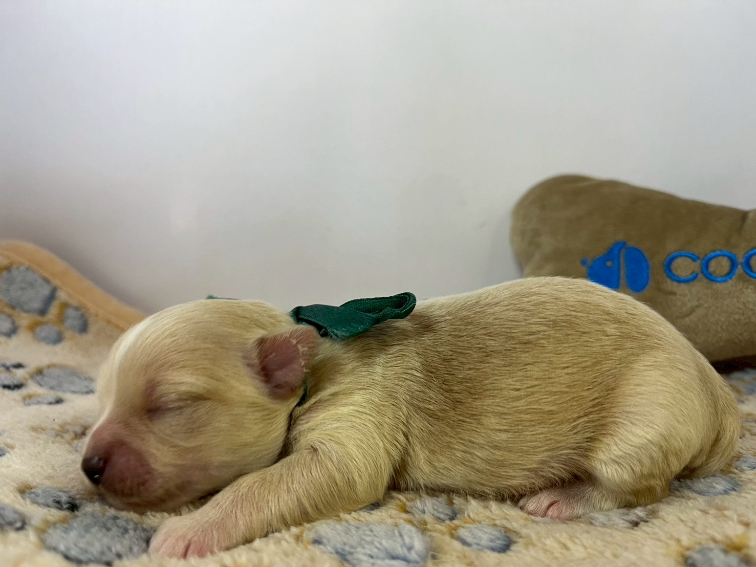 赤ちゃん写真1-2