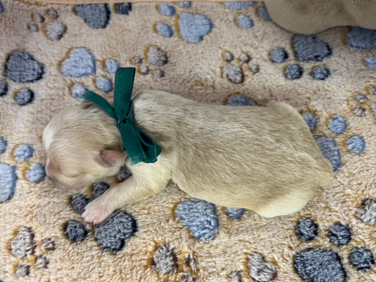 赤ちゃん写真1-3