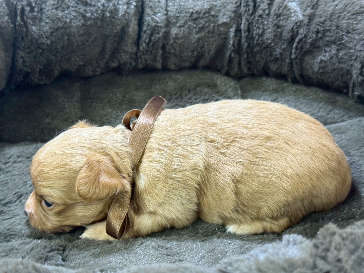赤ちゃん写真2-2