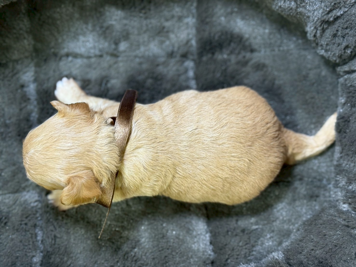 赤ちゃん写真2-3