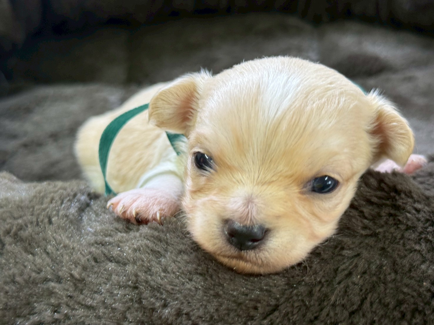 赤ちゃん写真2-1