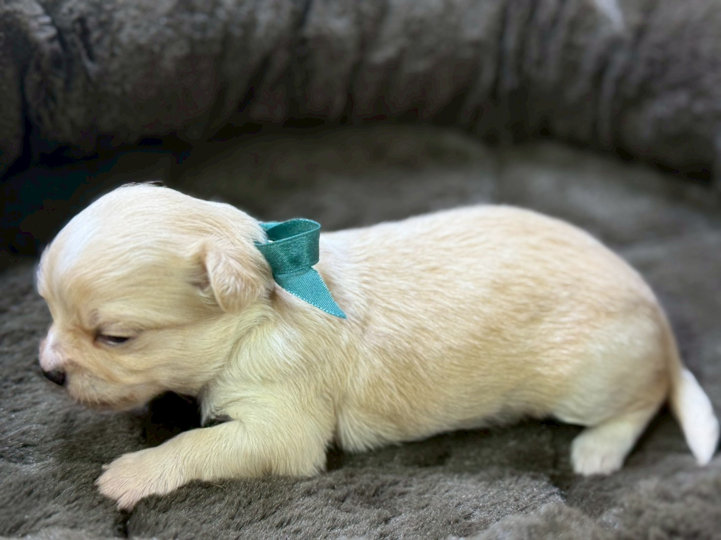 赤ちゃん写真2-2