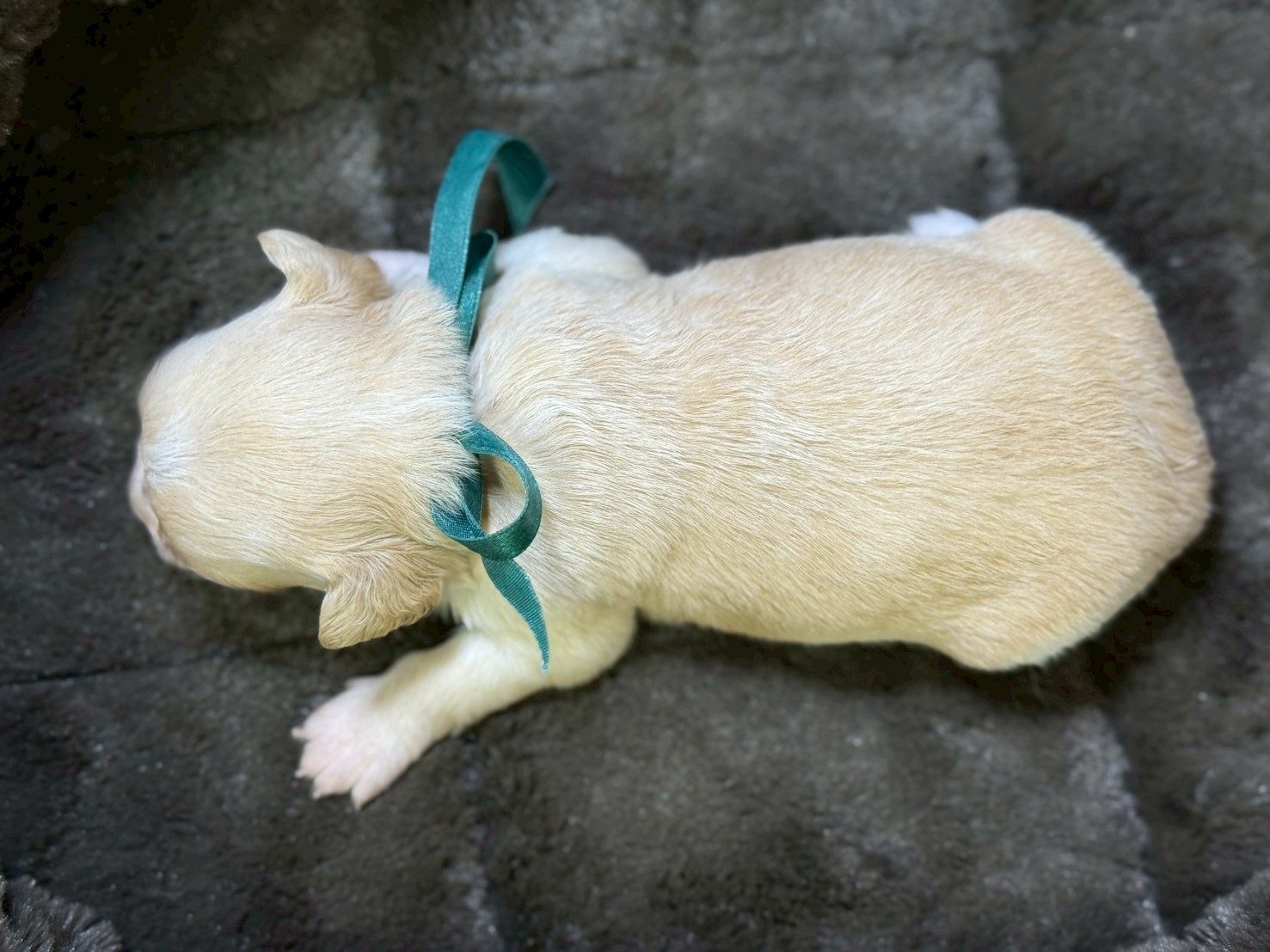 赤ちゃん写真2-3