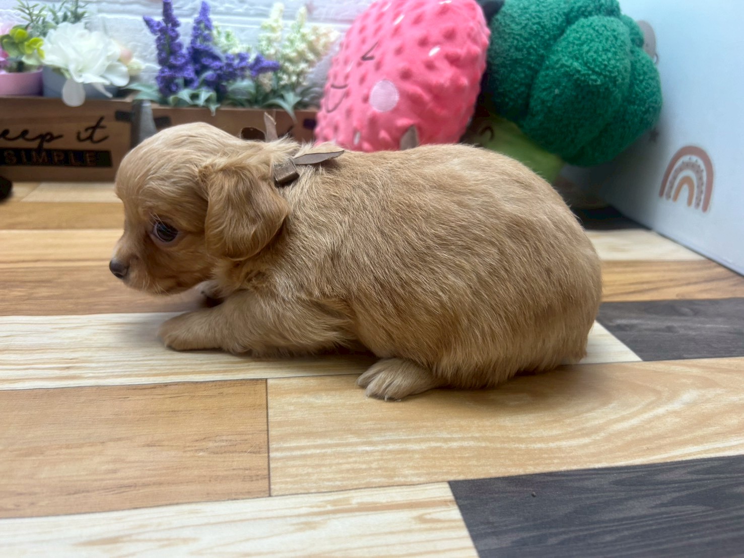 赤ちゃん写真3-2