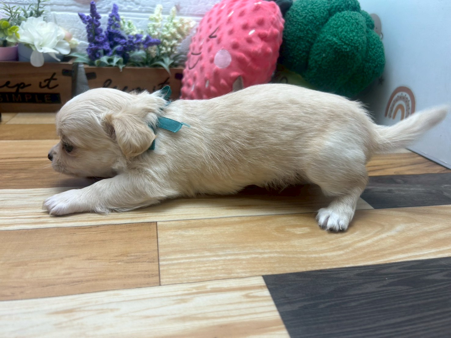 赤ちゃん写真3-2