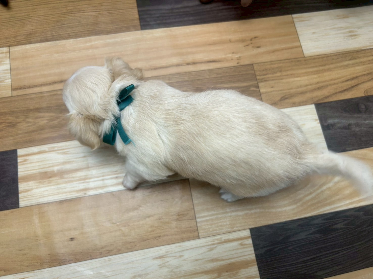 赤ちゃん写真3-3