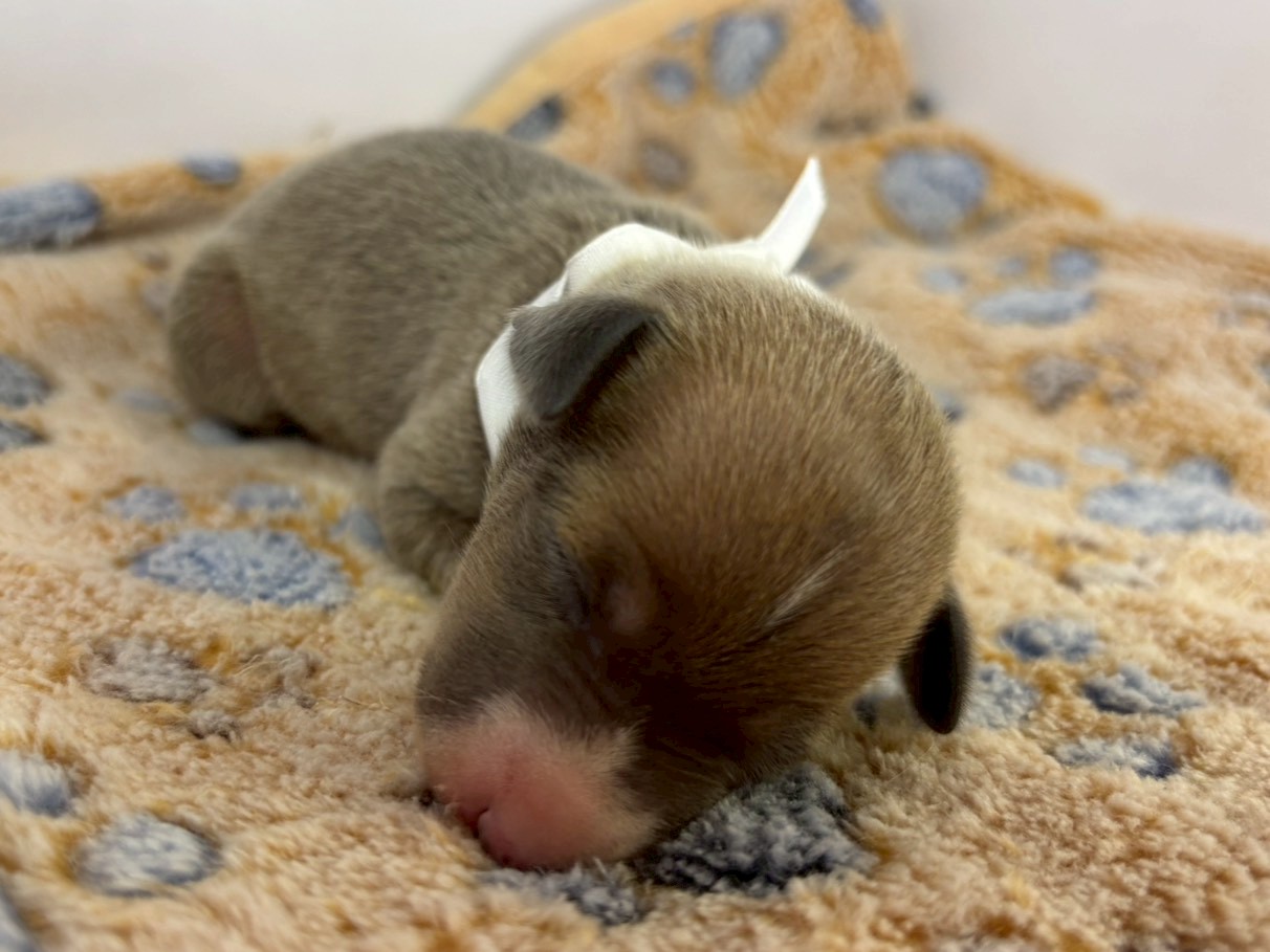 赤ちゃん写真1-1