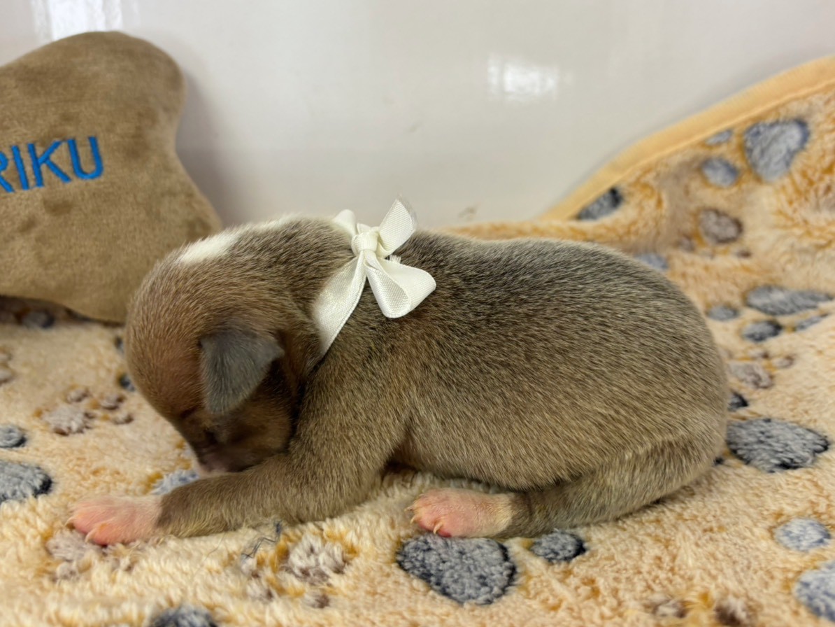 赤ちゃん写真1-2