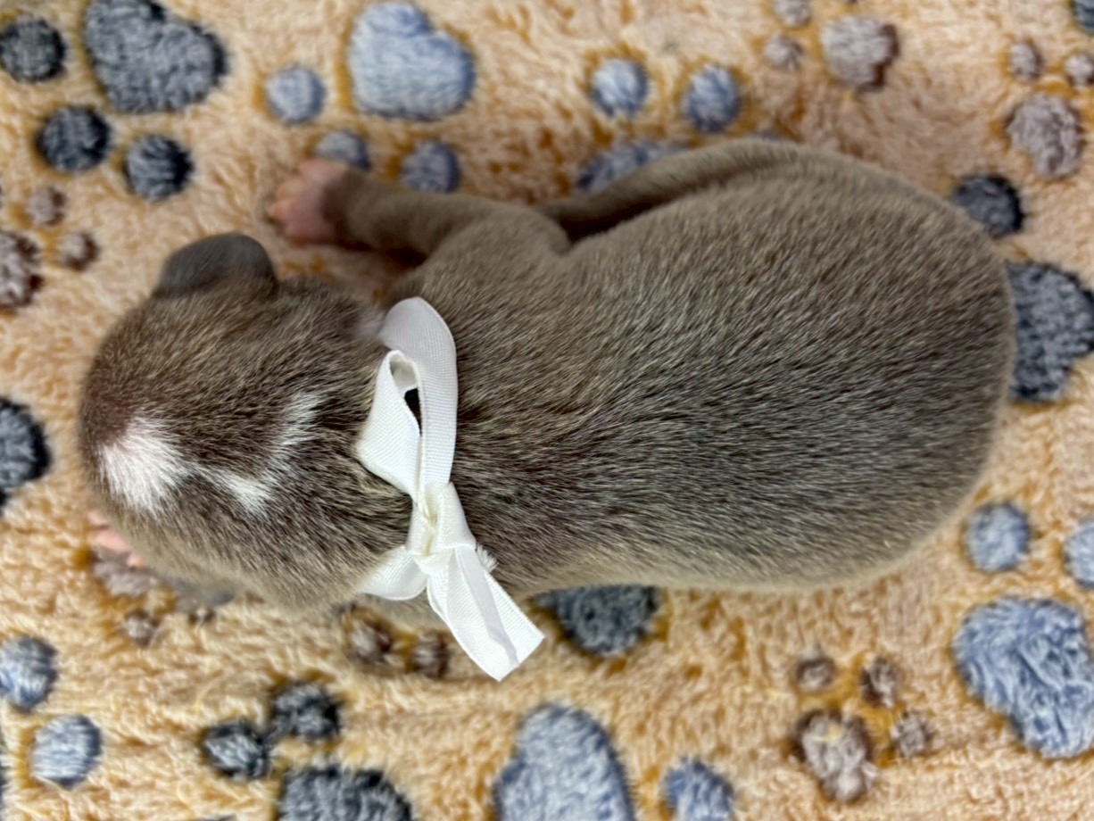 赤ちゃん写真1-3