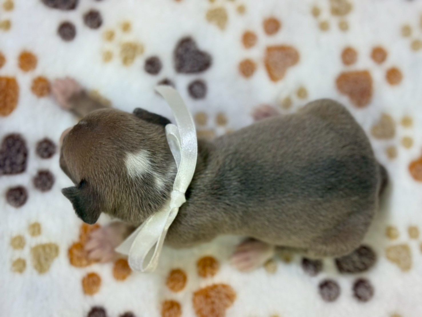 赤ちゃん写真2-2