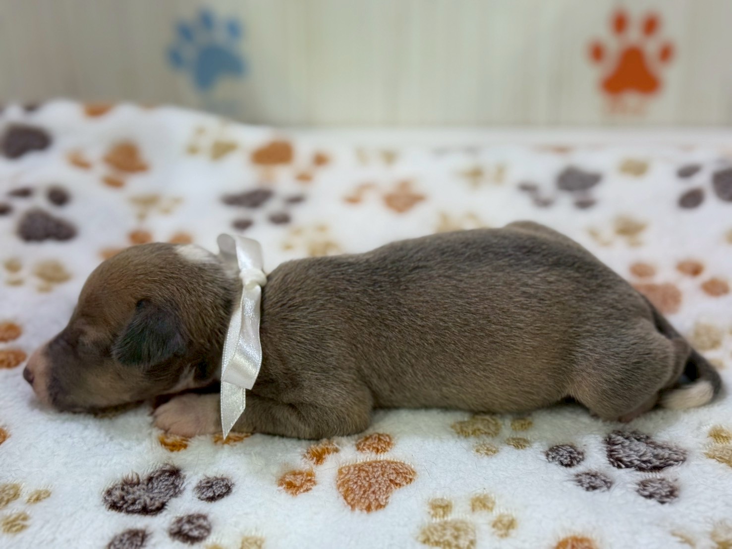 赤ちゃん写真2-3