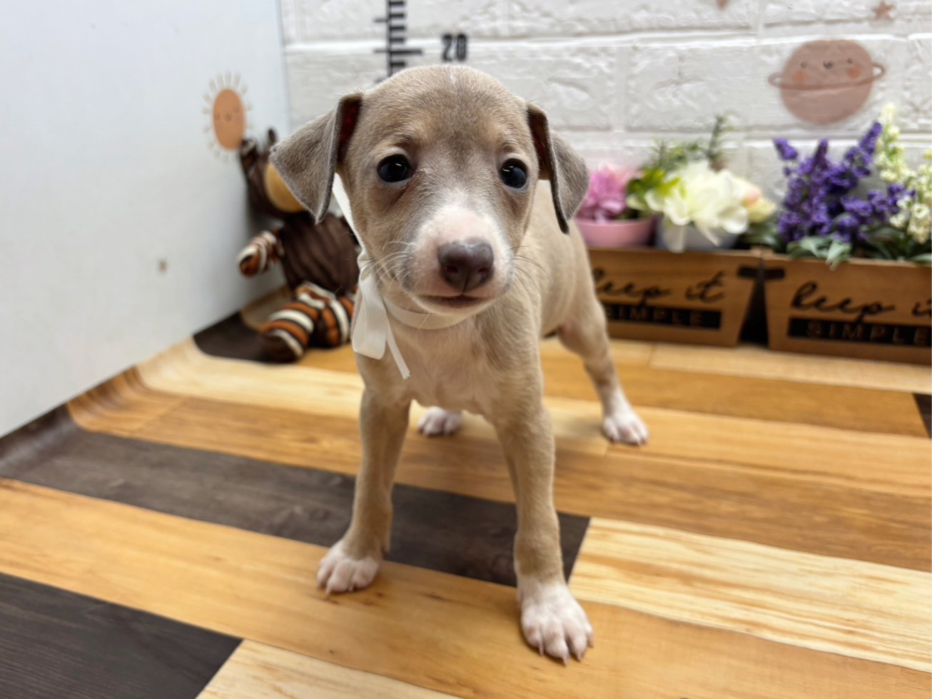 赤ちゃん写真3-1