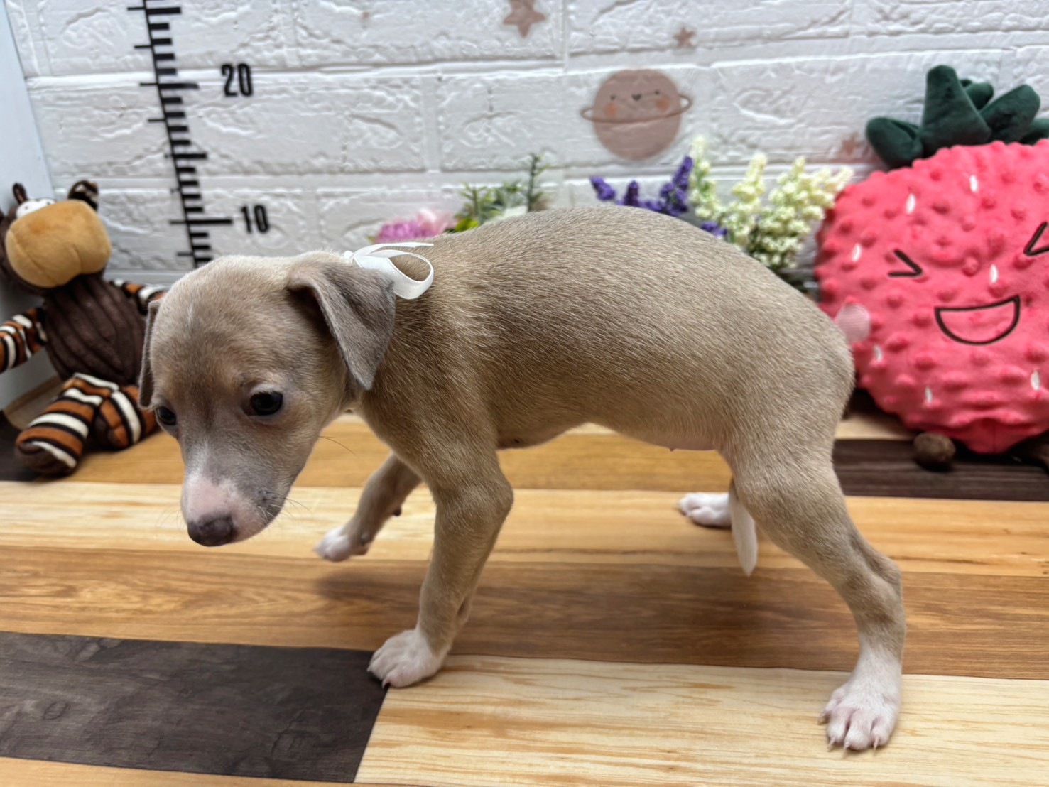 赤ちゃん写真3-2