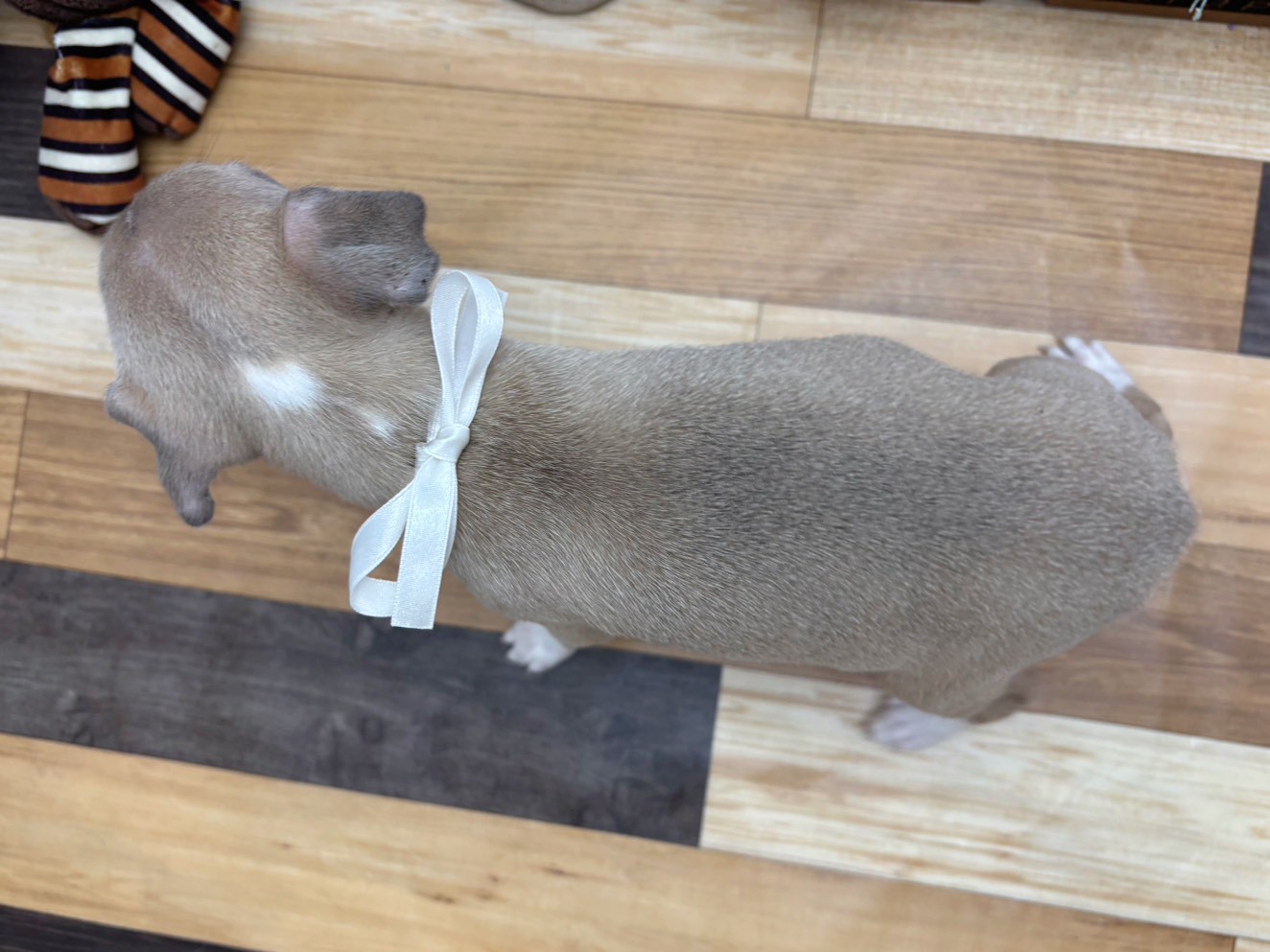 赤ちゃん写真3-3