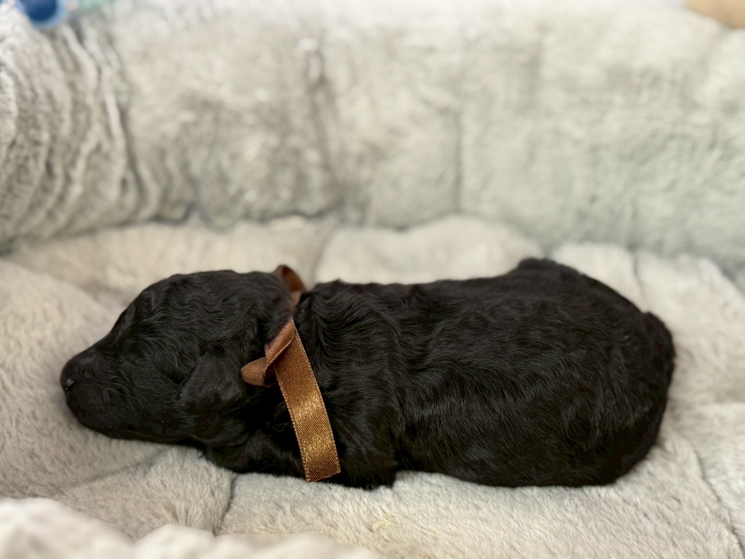 赤ちゃん写真1-2