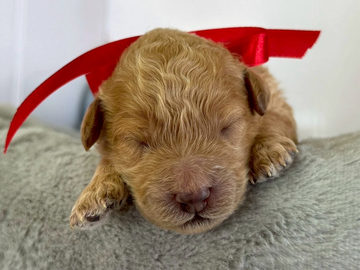 赤ちゃん写真1-1