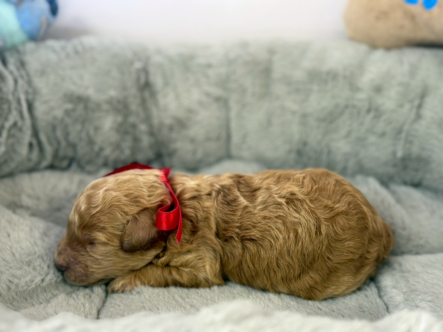 赤ちゃん写真1-2