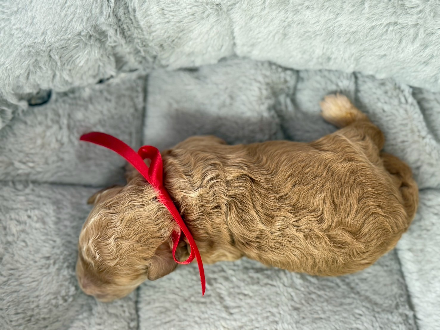 赤ちゃん写真1-3