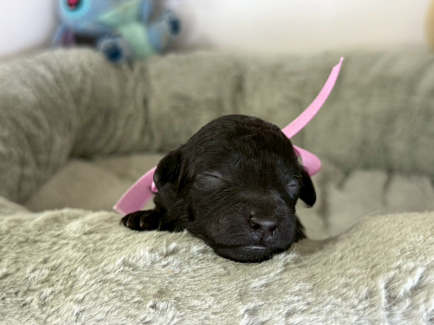 赤ちゃん写真1-1