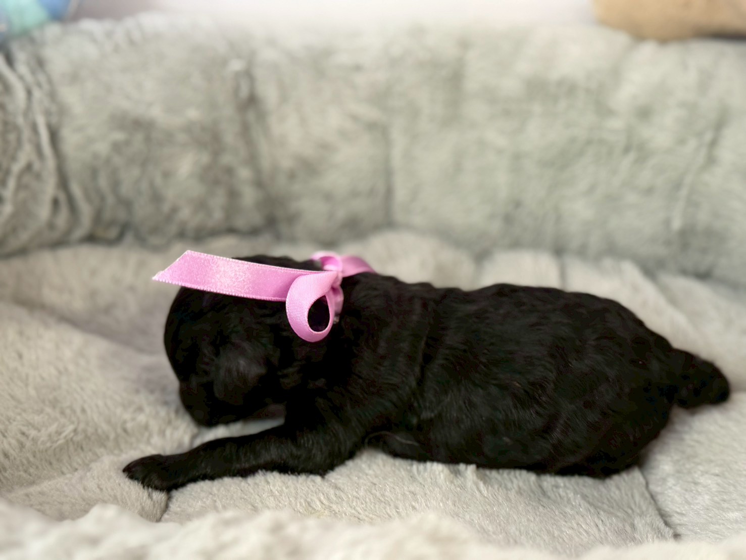 赤ちゃん写真1-2